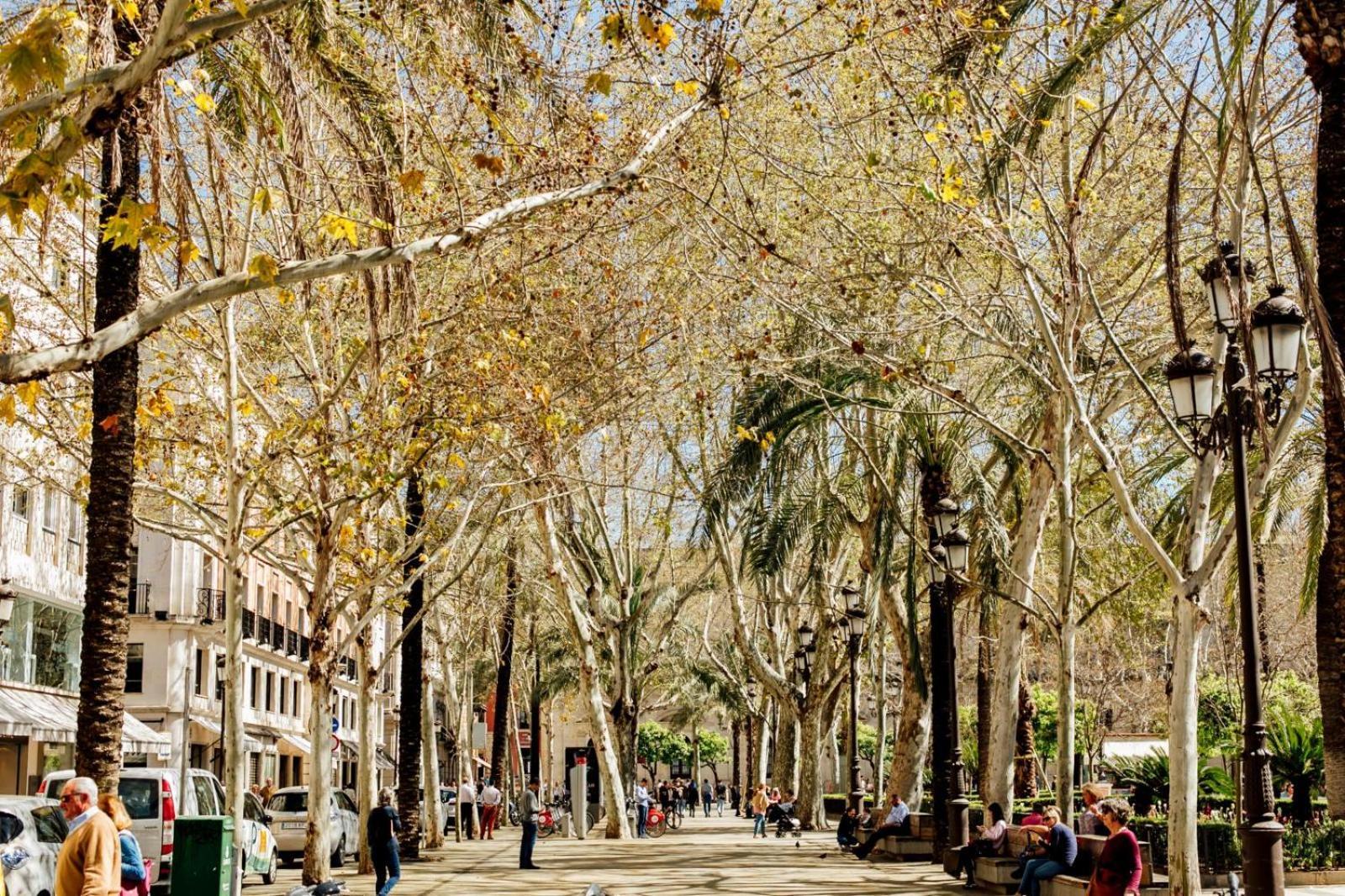 Plaza De La Magdalena I, Sevilla Centro Historico Екстериор снимка